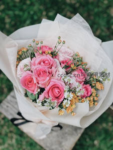 粉白玫瑰花束，包裹在柔美纸中
