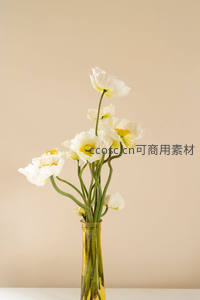 白色罂粟花束在玻璃瓶中优雅绽放
