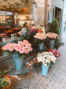 街角花店外缤纷玫瑰盛放迎客