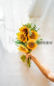 手捧向日葵传递阳光能量