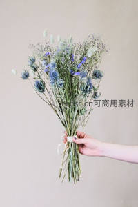 蓝紫色干花束静谧优雅