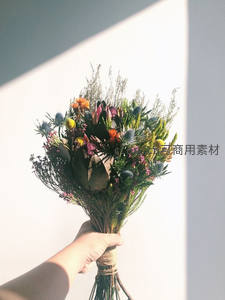 光影中的野趣花束