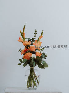 橙色剑兰插花瓶中绽放