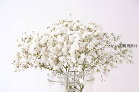 满天星盛放玻璃瓶中清新雅致