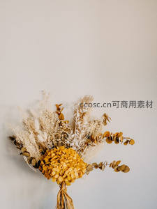 干花花束挂墙，暖色调文艺风