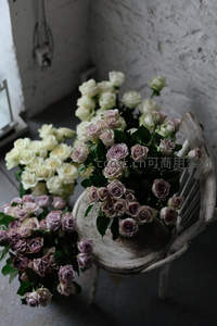 复古椅上玫瑰花簇