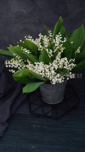 铃兰盛放金属桶，深色背景显素雅