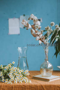 蓝色背景下的干花与雏菊静物