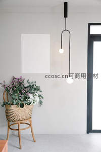 北欧风客厅一角，藤篮鲜花配吊灯