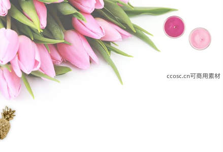 粉色郁金香与蜡烛点缀纯白背景