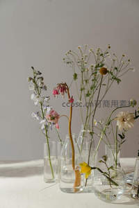 多瓶野花组合，营造清新自然的桌面景观