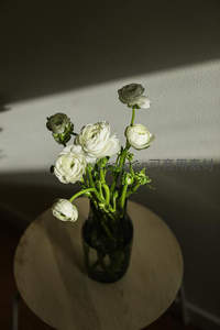 光影下的白色毛茛花束