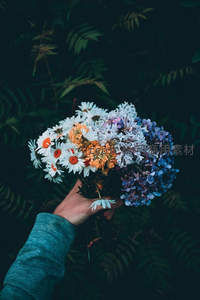 手捧多彩野花束，背景深绿蕨叶衬托出自然野趣与生机活力。