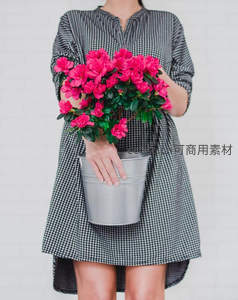 格子裙少女手捧杜鹃花盆栽