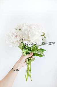 洁白牡丹花束：手握纯净之美