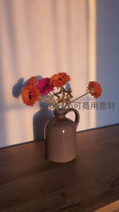 陶罐插着橙粉雏菊，光影洒落木质桌面