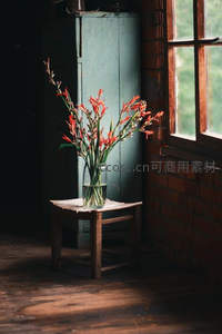 窗边阳光下的橙色剑兰静物