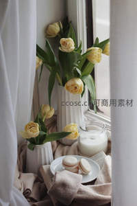 窗边黄郁金香配马卡龙，法式浪漫日常