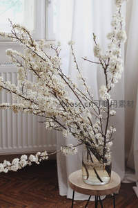 窗边木桌上玻璃瓶插满盛开的白樱