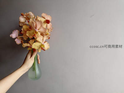 手握淡雅兰花，简约背景下的柔美瞬间