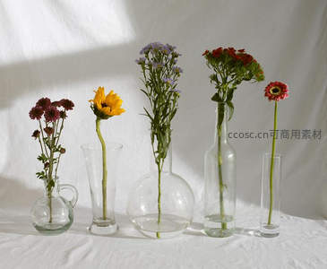 五款玻璃器皿盛放不同鲜花组合