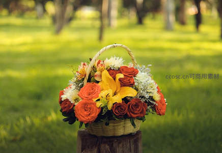 花园野餐花篮，橙黄玫瑰百合盛放于树桩