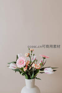 粉白花朵插于白色陶瓷花瓶中