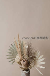 干花艺术插瓶，自然质朴的装饰美学