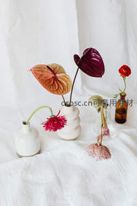 多瓶鲜花静物组合，色彩与形态的优雅碰撞