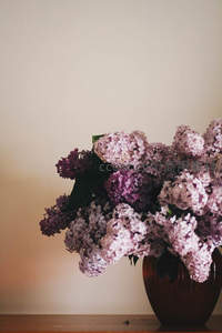 淡紫色丁香花盛放于陶罐