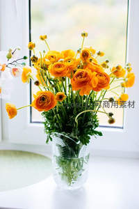 窗台玻璃瓶中的明媚花束