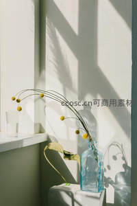 阳光透过窗棂洒在干花瓶上