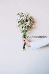 手握满天星，简约纯白背景