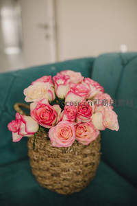 粉白玫瑰盛放藤篮置沙发