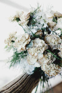 霜冻康乃馨手捧花的冬日诗意