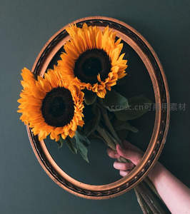 手捧向日葵透过复古相框的温暖瞬间