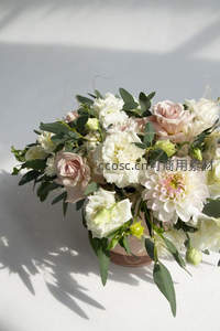 白色大丽花与淡粉玫瑰在光影中的精致花艺