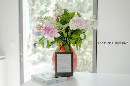 窗边花瓶与电子书共处一隅