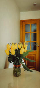 木门旁桌上的黄色郁金香