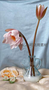 粉色睡莲与水果静物