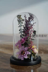 干花艺术摆件置于玻璃罩内
