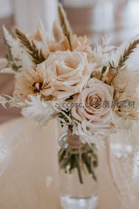米色玫瑰与蒲苇插瓶静物特写