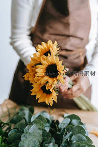 花艺师手中的向日葵花束