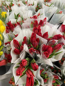 市场摊位红郁金香束，层层包装待售