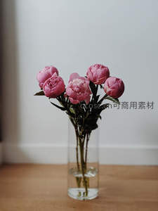 玻璃瓶中的粉色芍药静物