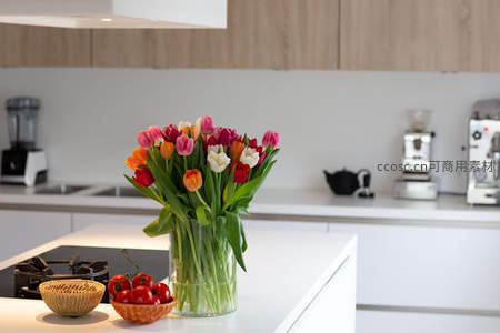 现代厨房中的郁金香，生机盎然