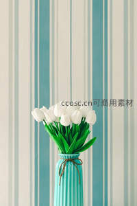 条纹墙前的白郁金香，清新雅致