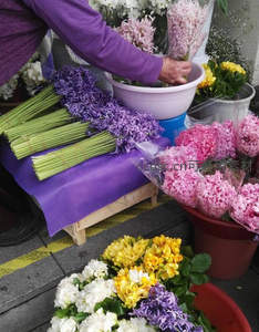 花市摊位上紫粉色风信子与黄白花朵陈列待售