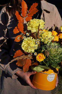 秋日暖阳下，手捧橙黄花束的温柔时刻