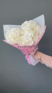 手捧白色绣球花束，粉色包装纸温柔点缀